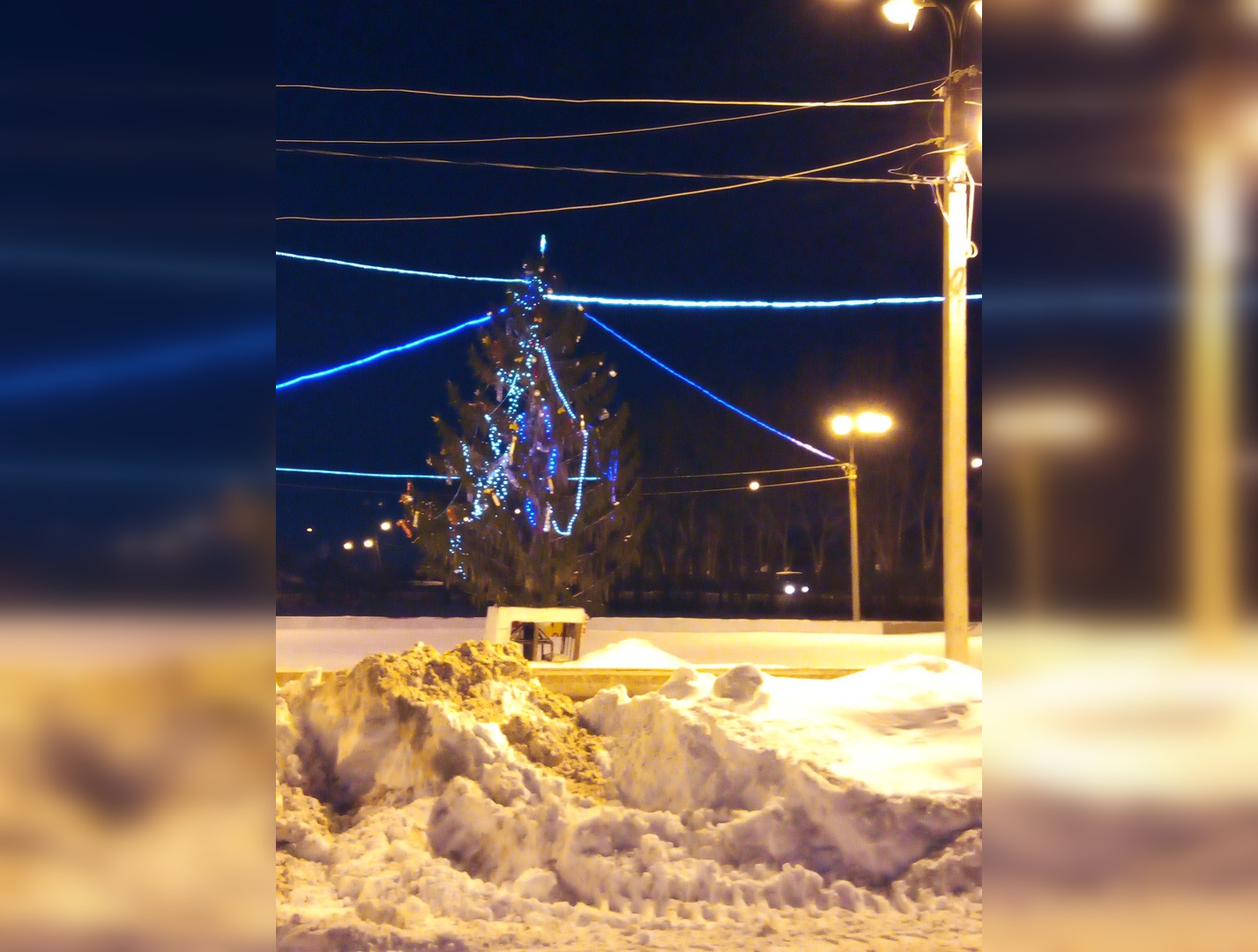 Новый год – круглый год: Жители Стерлитамака просят убрать со двора засохшую ёлку с гирляндами 