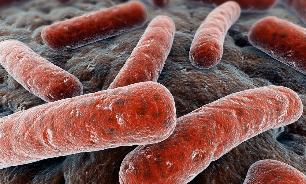 Исследование: земные бактерии вымирают быстрыми темпами