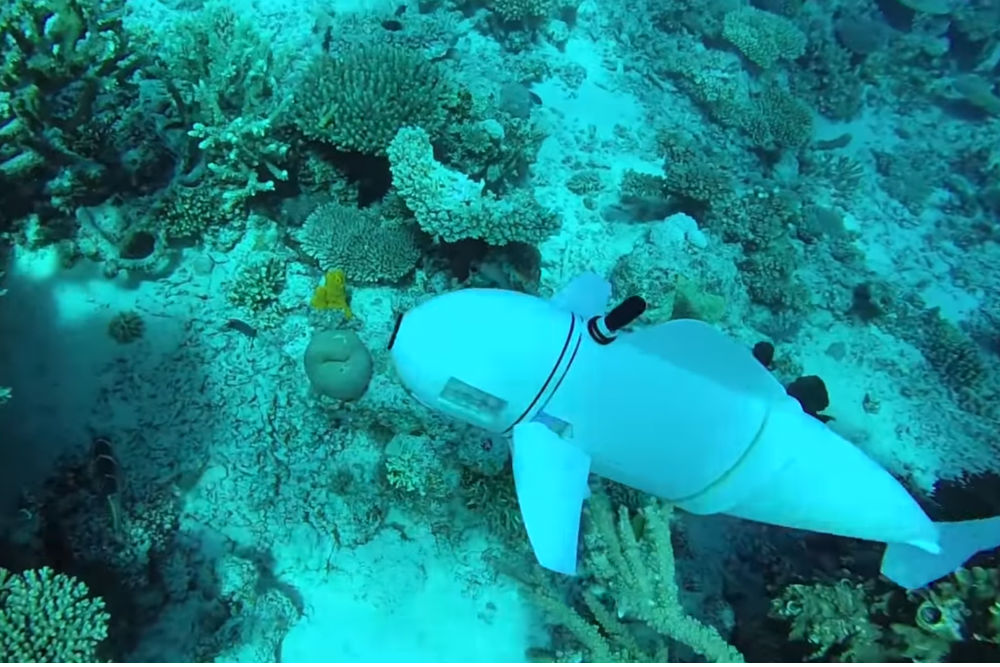 Ученые разработали робота-рыбу для видеосъемки подводного мира