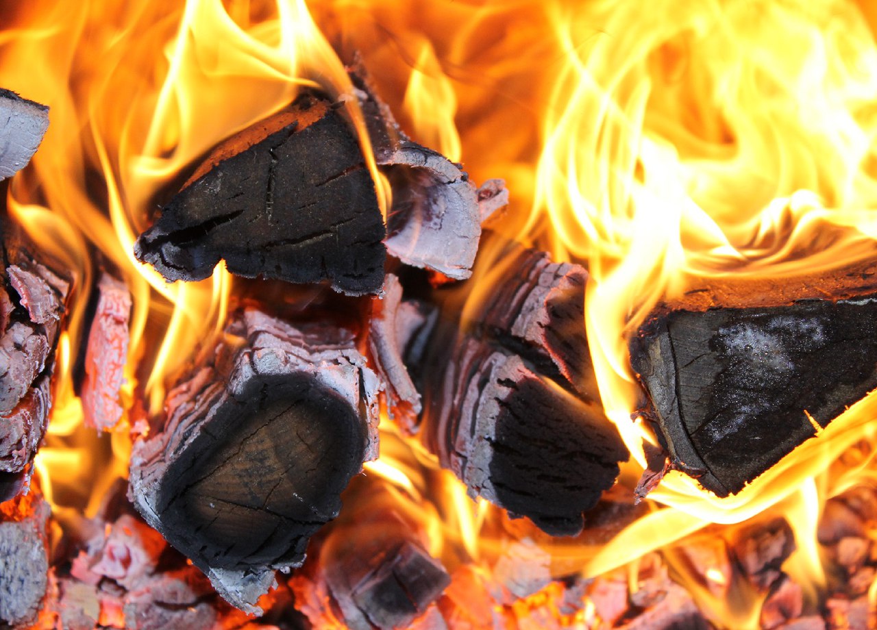 В Башкирии более 150 нарушителей наказали за лесные пожары