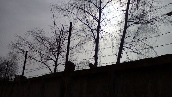 Власти Башкирии рассказали, как проверяют заключённых на коронавирус