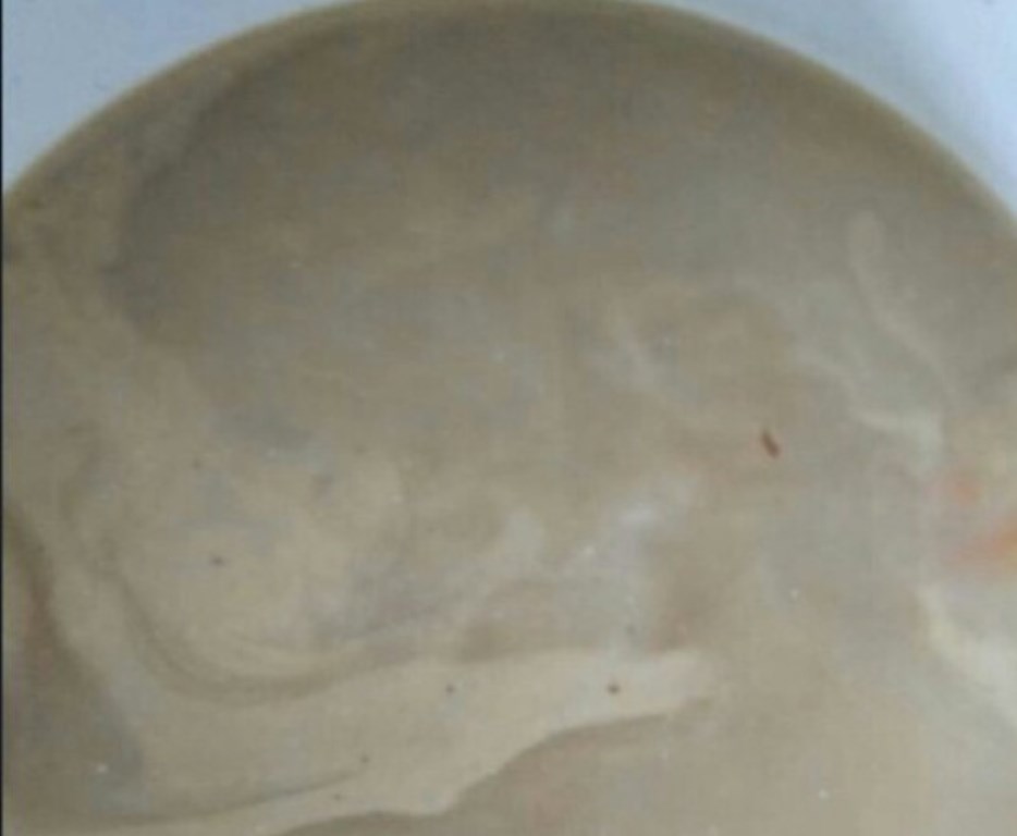 «Помои аппетитнее»: Жители Уфы высказались о супе в одном из детских садов