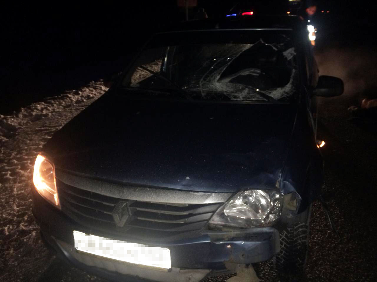 Ночью на трассе в Башкирии Renault насмерть сбил пешехода