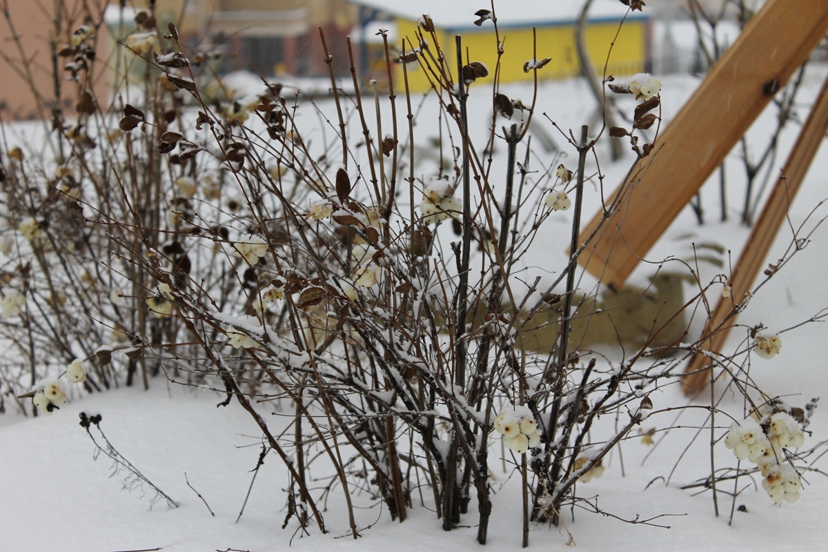 Мокрый снег и гололедица: МЧС Башкирии предупреждает об ухудшении погоды