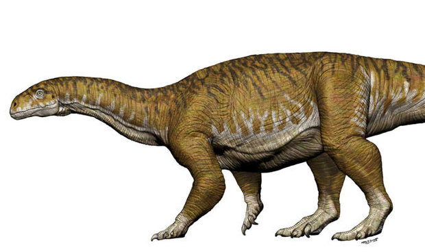 Палеонтологи нашли ранее неизвестный род динозавра 