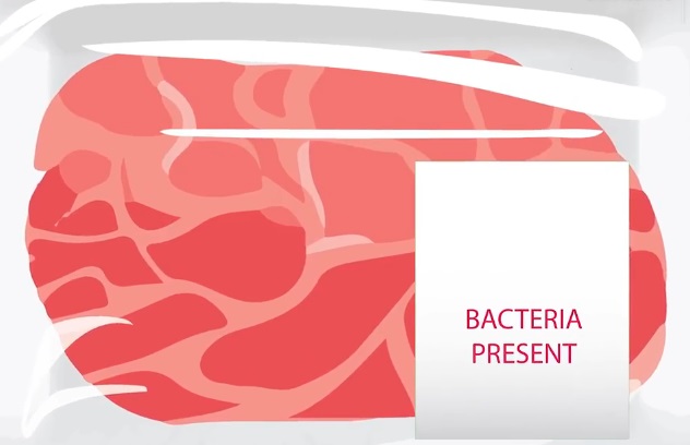 Наклейка-индикатор выявит опасные бактерии в мясе