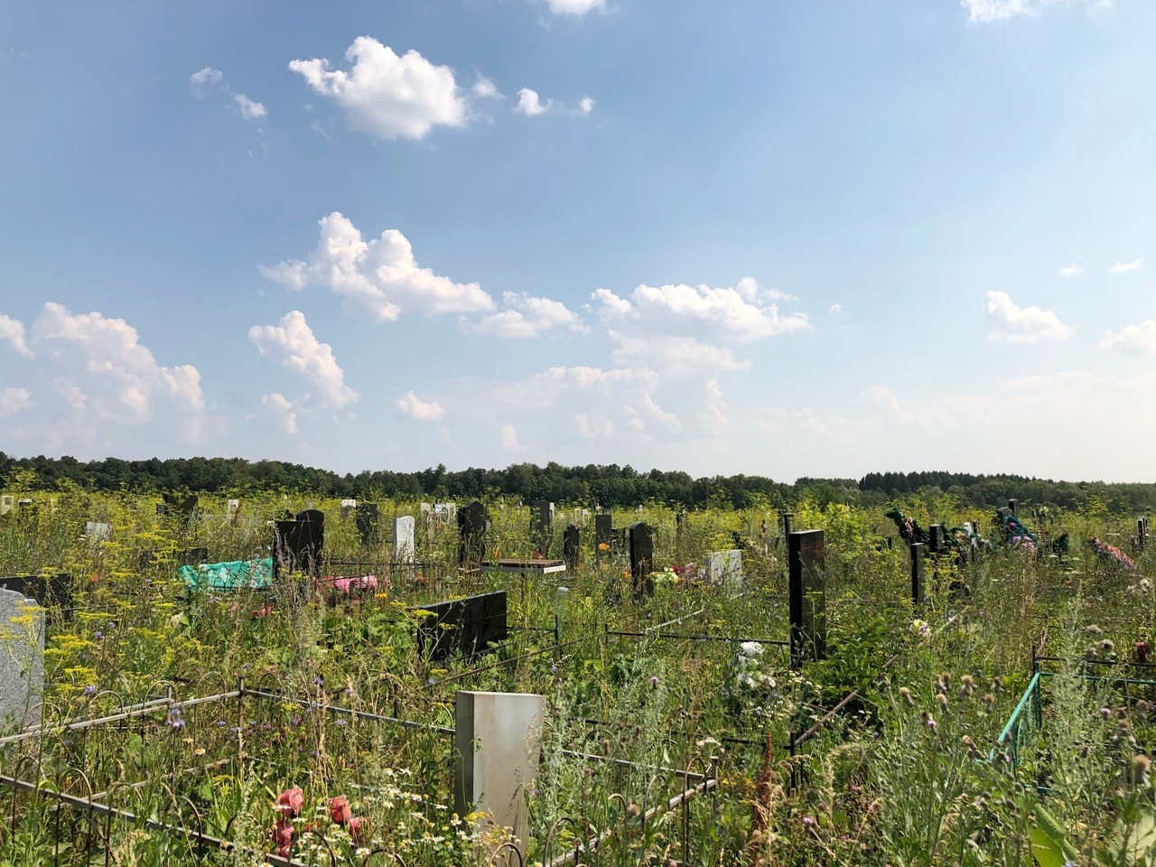 Житель Оренбургской области раскопал могилу своей знакомой в Башкирии, чтобы убедиться в том, что там похоронена именно она
