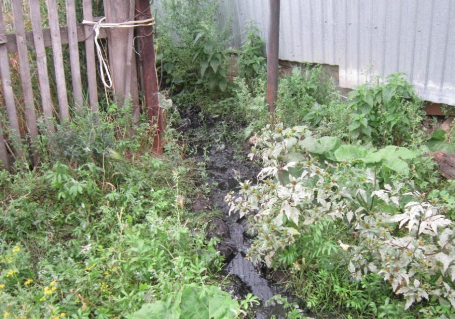 В одном из городов Башкирии в водоём попали отходы из выгребных ям