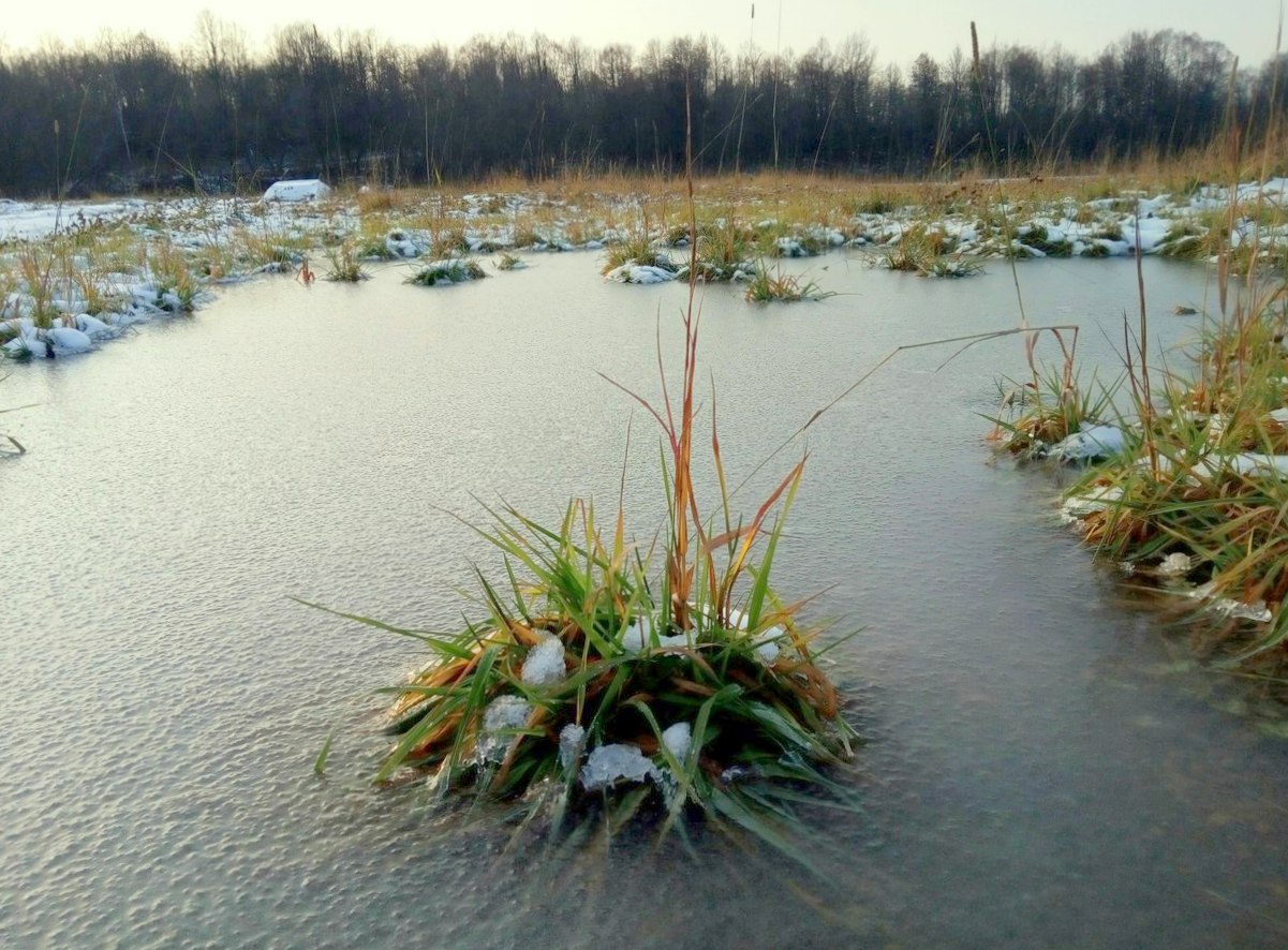 В Башкирии прогнозируют заморозки до -3 градусов