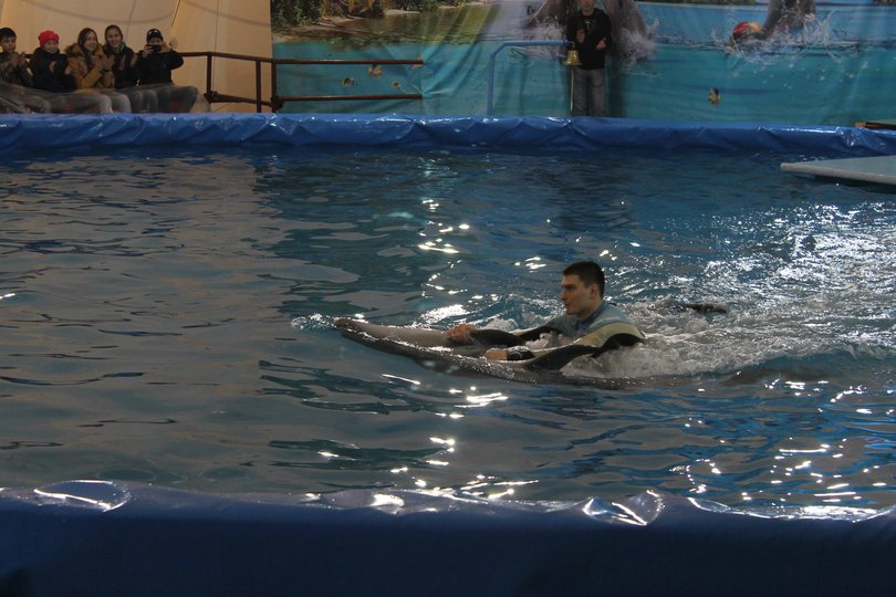 Радий Хабиров высказался по поводу скандала с дельфинарием
