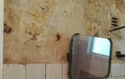 Плесень и грибок на стенах: В Башкирии инвалидам по зрению выдали квартиру в ужасающем состоянии