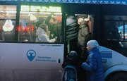 «Люди чуть из салона не вывалились»: Уфимцев вывела из себя работа автобусов в Зеленой роще