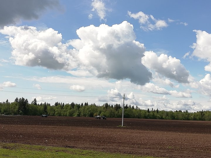 В одном из районов Башкирии град погубил сельхозпосевы на 20 млн рублей