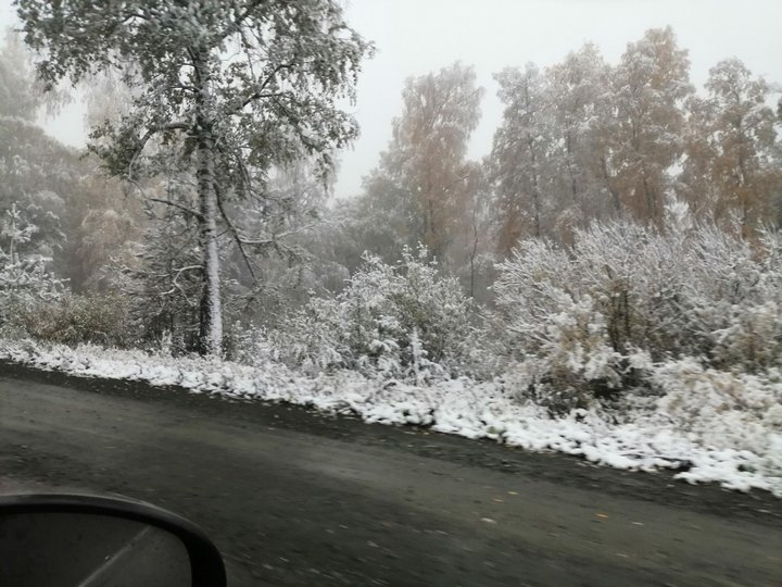 «Зима пришла»: Один из районов Башкирии за ночь засыпало снегом