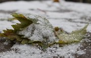 Жуткий ветер и снежный накат: На Башкирию надвигается непогода