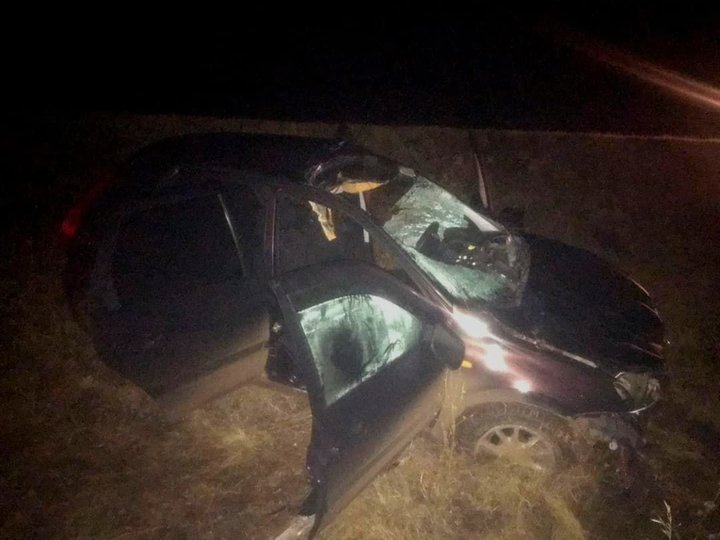 В Башкирии 19-летний водитель насмерть сбил лошадь