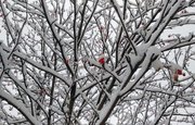 В Башкирии снегопады задержатся еще на день