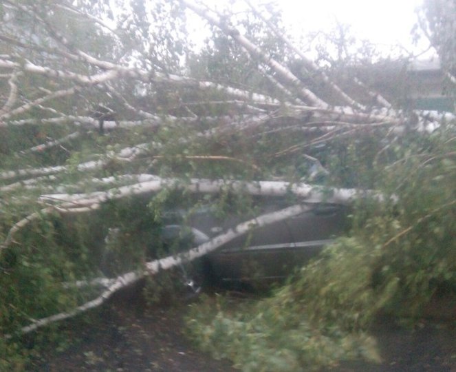 В Уфе деревья рухнули на припаркованные автомобили