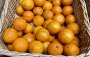 Максимальную дневную норму мандаринов раскрыли россиянам