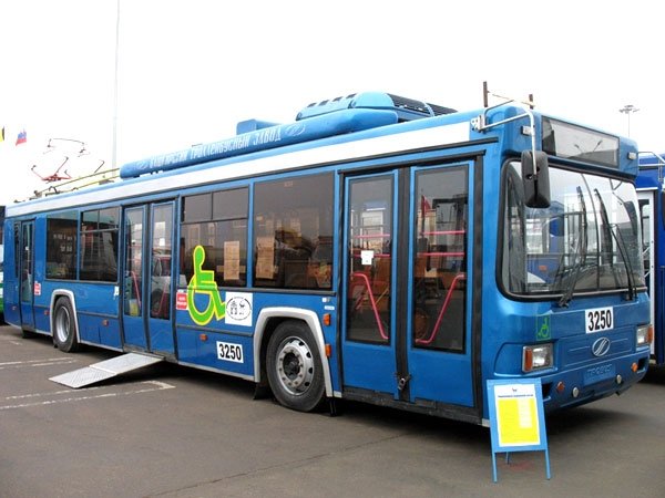 Владельца троллейбуса обязали выплатить 300 тысяч рублей родственникам погибшего пешехода