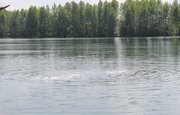 В Башкирии на реке нашли тело мужчины