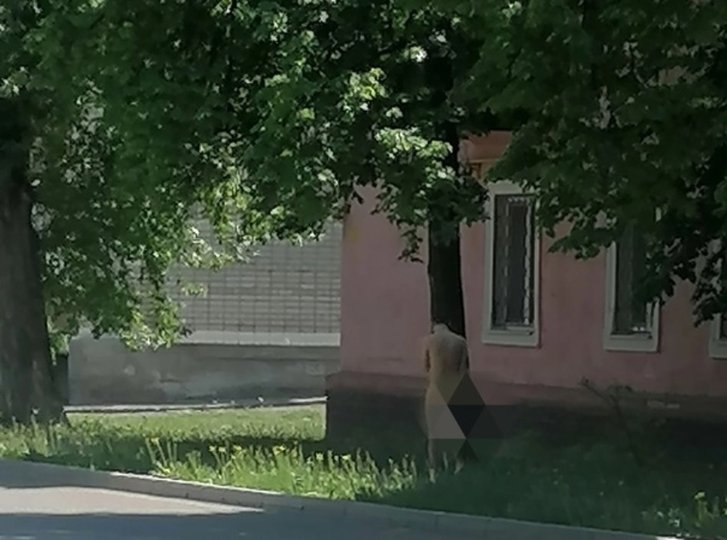 В Башкирии обнаружили участок, где уже пять лет постоянно гуляют голые люди