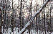 В Башкирии мужчина бросил знакомого замерзать в лесу