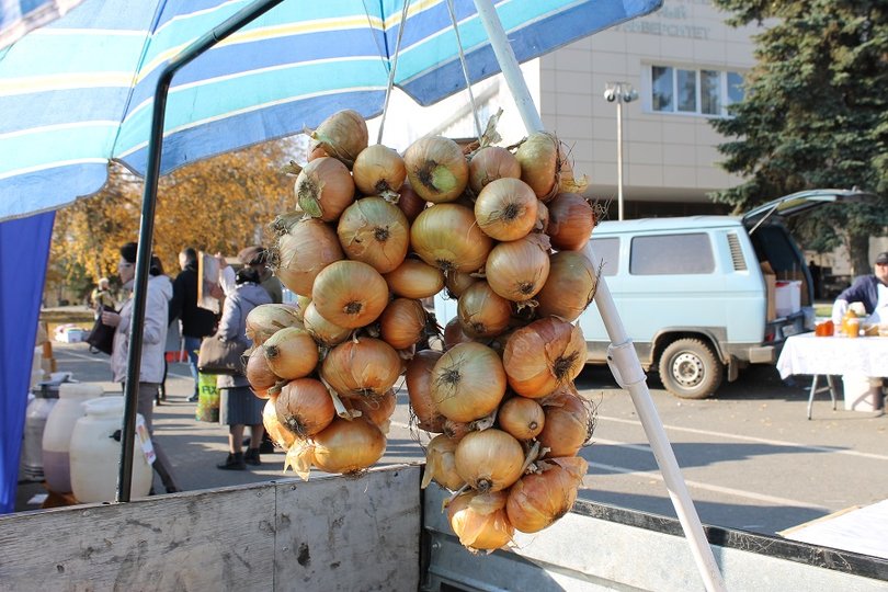 В Башкирии забраковали 907 килограммов опасных овощей