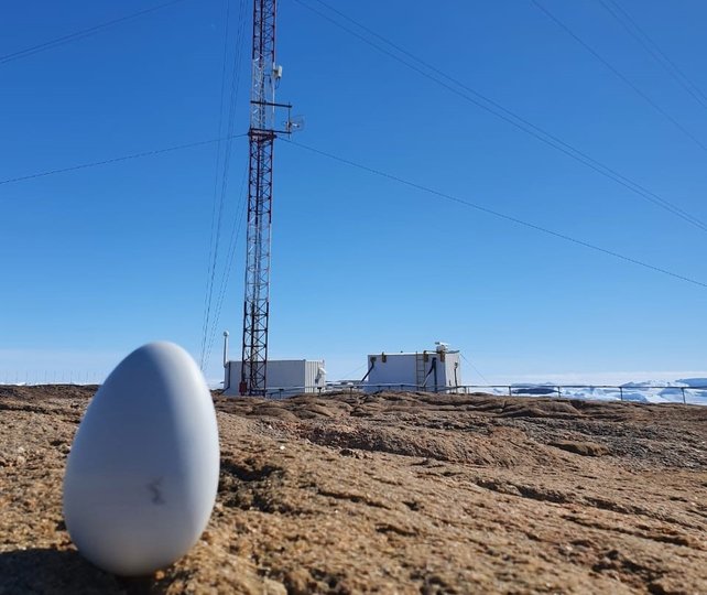 МТС запустила интернет вещей в Антарктиде