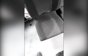 «Побежал, штаны все мокрые»: Разгневанный водитель снял видео о том, что наделал в маршрутке пьяный местный житель