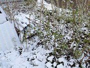 Зима возвращается – В Башкирии выпавший снег покрывает дворы жилых домов