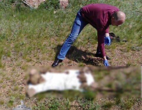 В Башкирии под фундаментом старой фермы нашли останки без вести пропавшего мужчины