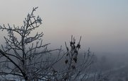 В Башкирии ожидается густой туман