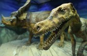 В Аргентине обнаружили кости семи динозавров