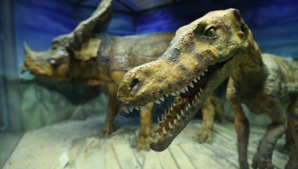В Аргентине обнаружили кости семи динозавров