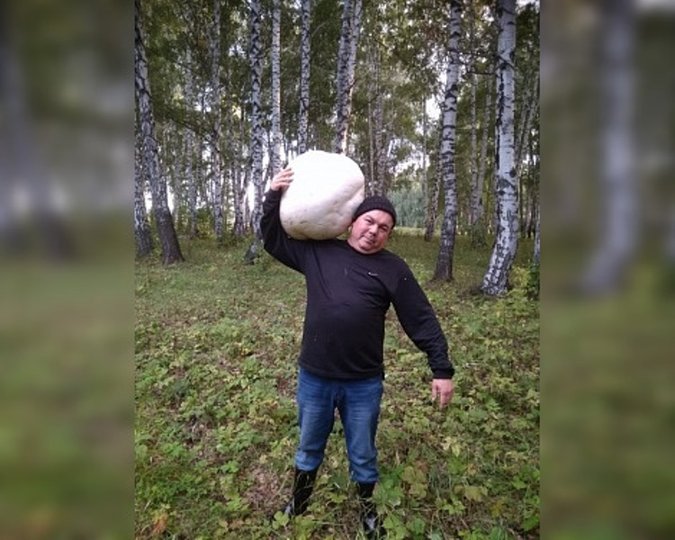 В Башкирии супруги нашли огромный гриб