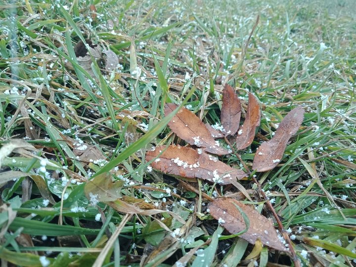 В Башкирию нагрянут дожди со снегом и похолодание до -4 градусов