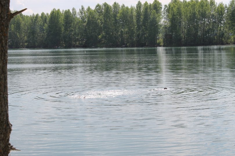 В Башкирии водолазы ищут на реке тело рыбака