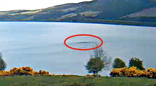Веб-камера на озере Лох-Несс запечатлела выплывающего из воды монстра