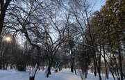Погода в Уфе на среду, 12 января 2022 года