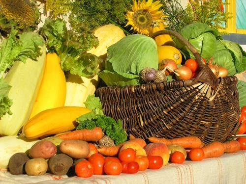 В этом году в Башкирии подешевели овощи и подорожали фрукты 