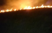 Пожары в лесах и заповедниках Башкирии взяты на особый контроль