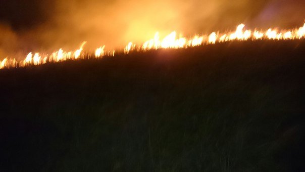 Пожары в лесах и заповедниках Башкирии взяты на особый контроль