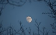 Сегодня вечером жители Башкирии увидят рядом с Луной одну планету