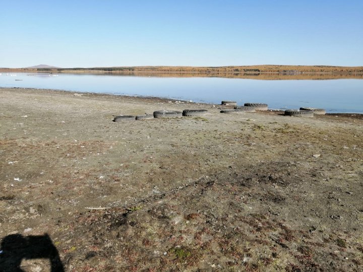 Активисты просят власти Башкирии спасти озеро, которое обросло опасными водорослями