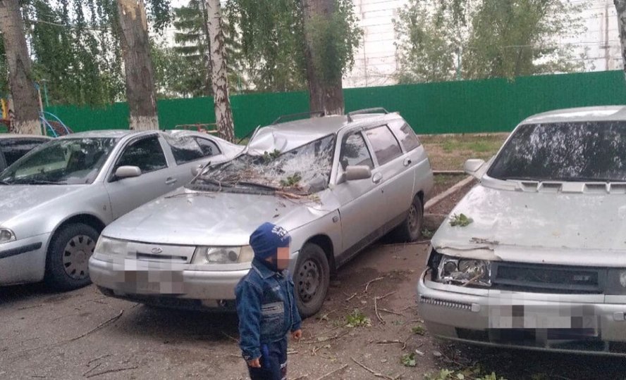 Видео: В Башкирии от сильного ветра на припаркованные машины рухнуло дерево