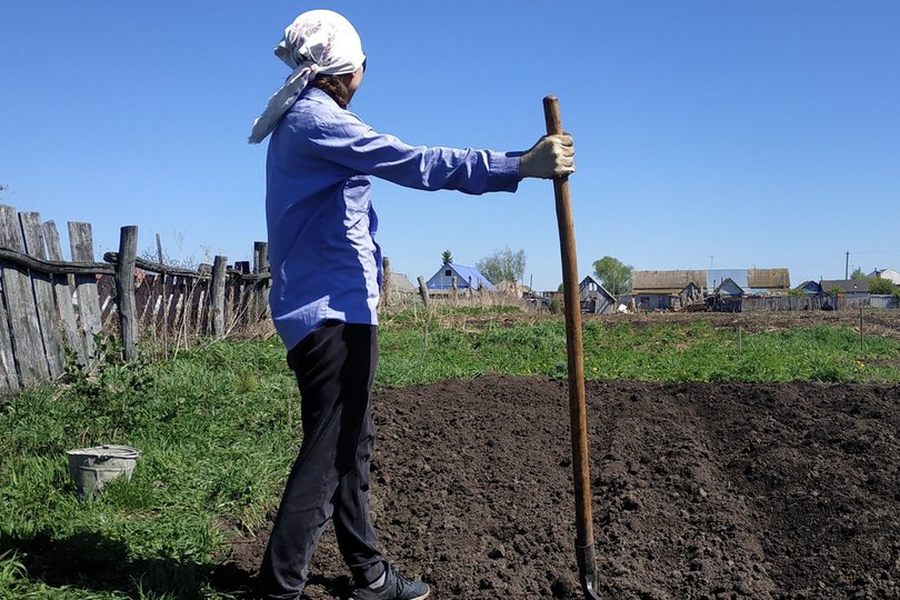 В Башкирии вступил в силу закон о господдержке садоводов