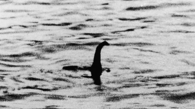 В озере Лох-Несс на подводную камеру попало неизвестное существо