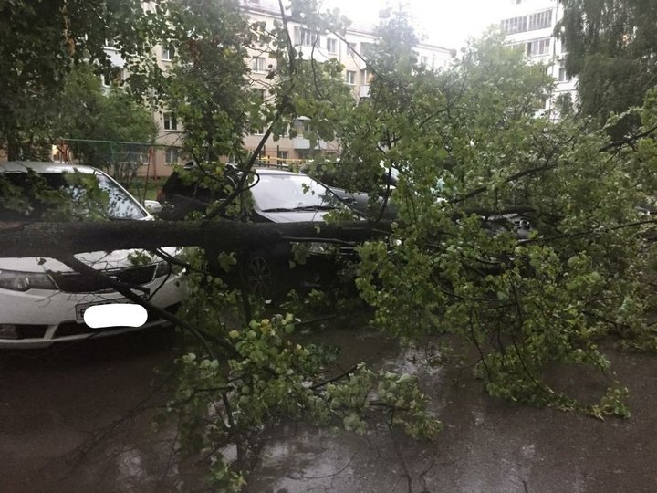 В Уфе сильный ветер повалил деревья прямо на машины