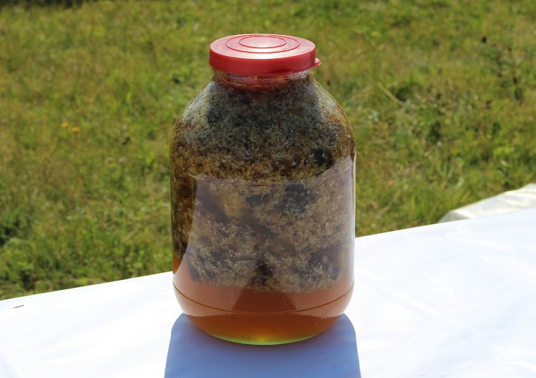 Бортевой мёд в Башкирии может подорожать на 30%